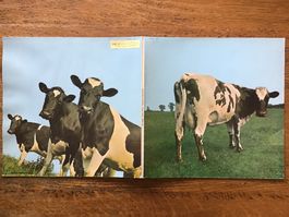LP Pink Floyd « Atom Heart Mother »